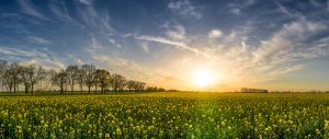 Renewable Energy Advice, Carden Consulting, Aberdeen